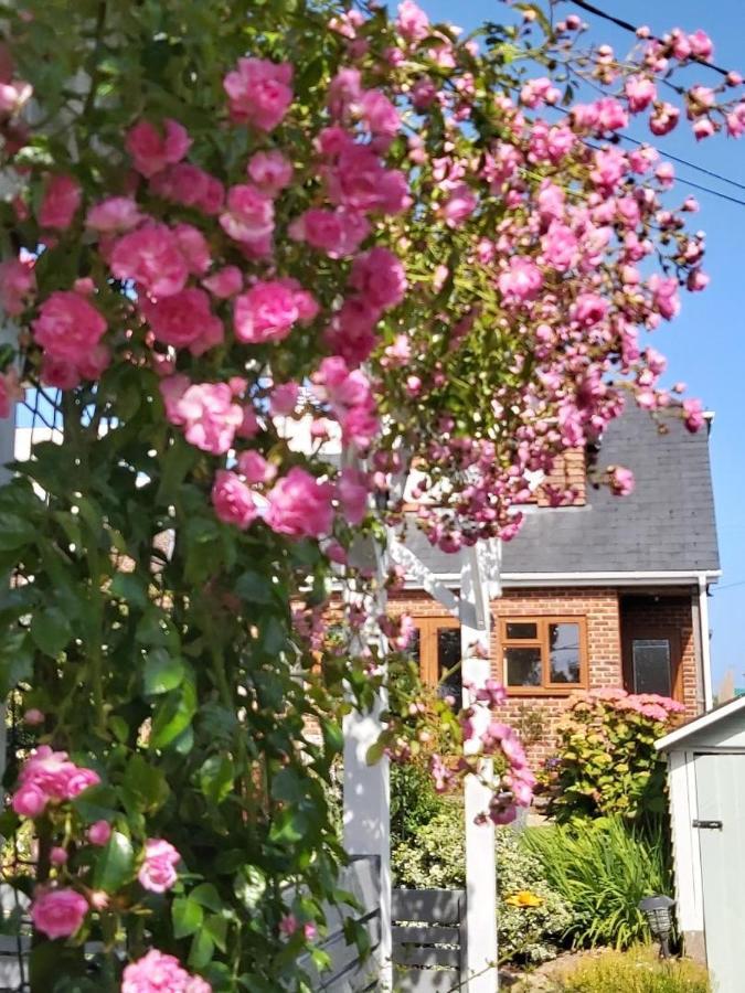 The Gem Bed & Breakfast Winchelsea Exterior photo